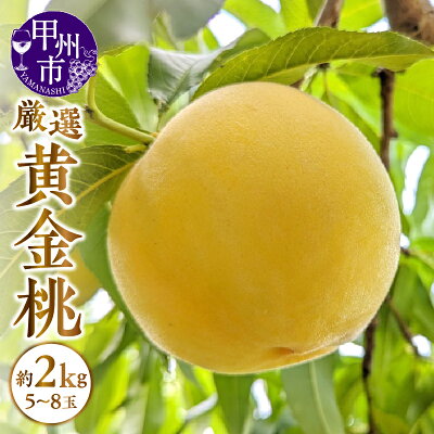 楽天ふるさと納税　【ふるさと納税】 桃 黄金桃 ゴールデンピーチ 約2kg 5～8玉 甲州市産 山梨 厳選 果物 フルーツ (APX) 【B-870】