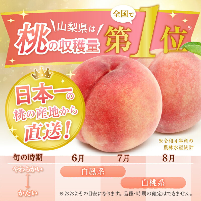 【ふるさと納税】 定期便 フルーツ 全2回 桃 約1.5kg 5～6玉 シャインマスカット 約1.2kg 2房 甲州市産 もも ぶどう 果物 人気 厳選 新鮮 旬 山梨 甲州市 2024年発送 （KKK） 【C3-830】