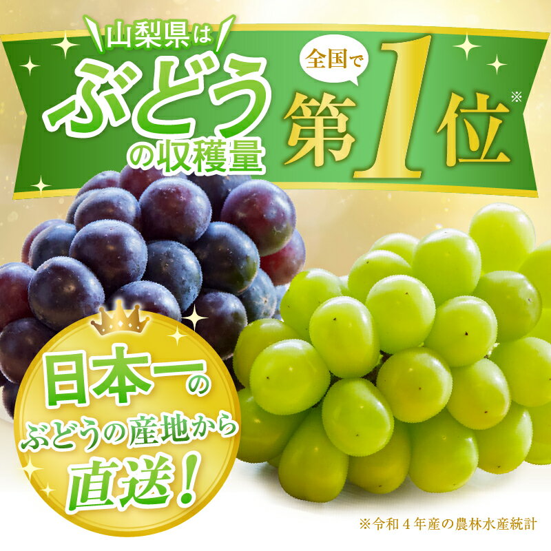 【ふるさと納税】 甲州市産 シャインマスカット 訳あり 2kg以上 3～6房 【2024年発送】 新鮮 くだもの フルーツ ぶどう 葡萄 山梨 （ATP） 【B18-820】