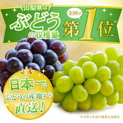 【ふるさと納税】 甲州市産 シャインマスカット 2kg 3房 ～ 4房 旬 採れたて 【2023年先行予約】果物 フルーツ ぶどう 山梨 贅沢 高級 (HO) 【B18-401】･･･ 画像1