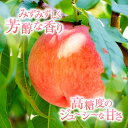 山梨県甲州市の画像3
