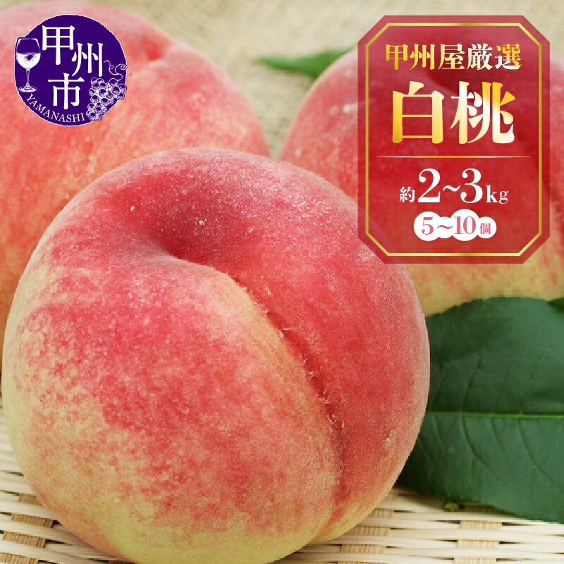 【ふるさと納税】 桃 白桃 選べる内容量 約2kg 約3kg 5~10玉 朝採り 白鳳 浅間 なつっこ 2025年発送 もも フルーツ 果実 果物 新鮮 厳選 数量限定 期間限定 ギフトボックス 贈答 ギフト 家庭用 7月 8月 9月 発送 山梨県 甲州市 甲州屋