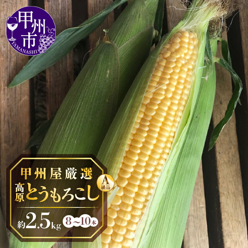 【ふるさと納税】 とうもろこし しあわせコーン ゴールドラッシュ A級品 約2.5kg 8～10本 L～3L 高原 契約農家産 新鮮 美味しい 青果品 甲州屋厳選 2024年発送 甲州市 【B-141】