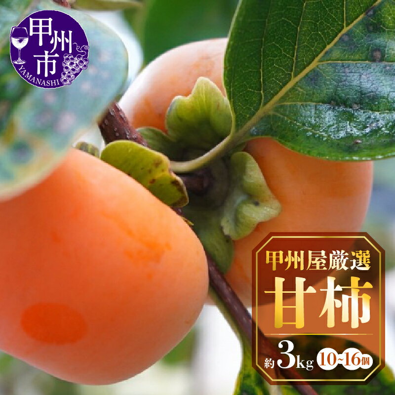 甘柿 柿 約3kg 10〜16個 フルーツ 富有柿 太秋 カキ 果物 新鮮 甲州市産 青果品 栄養価が高い 風邪予防 甲州屋厳選 期間限定 数量限定 くだもの 2025年発送 10月 11月 発送 かき 山梨 甲州市 