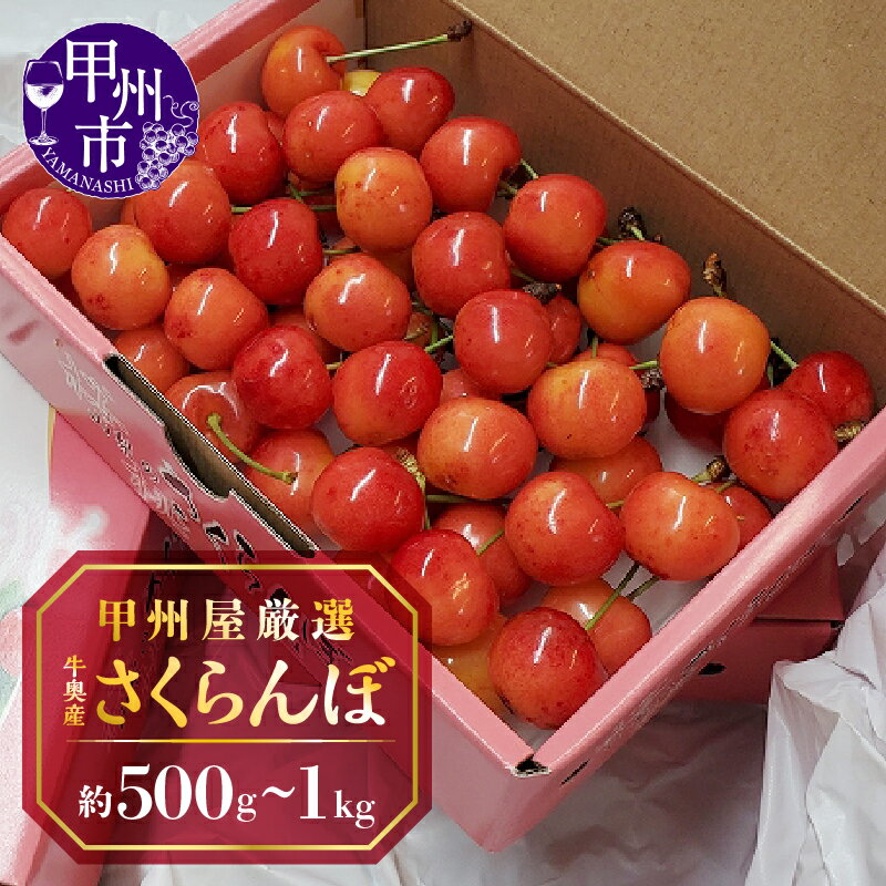 【ふるさと納税】 さくらんぼ 選べる容量 約500g 約1kg チェリー 2024年発送 数量限定 期間限定 甲州屋厳選 牛奥産 果物 フルーツ ばら詰め 化粧箱入 甲州市産 山梨