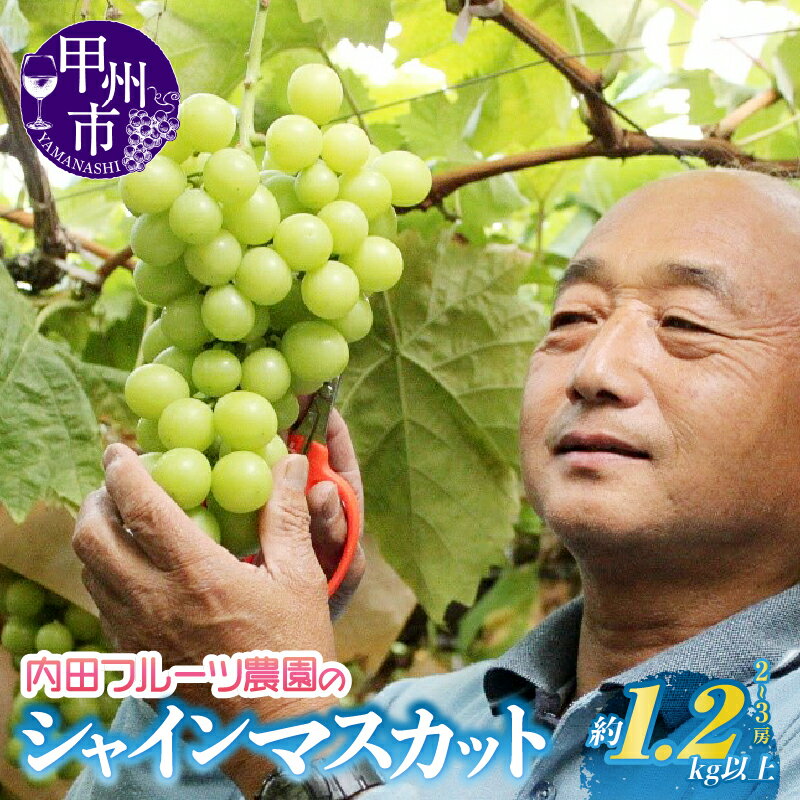 【ふるさと納税】甲州市 フルーツ シャインマスカット 2～3房 約1.2kg 果物 農家産地直送便 内田フルーツ農園【B-164】（UF）のサムネイル