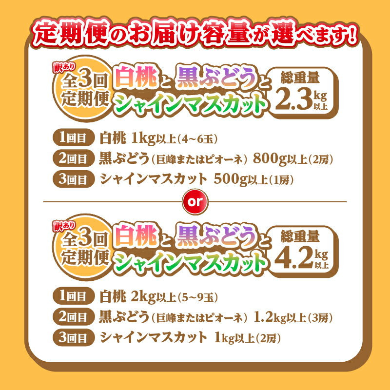 【ふるさと納税】 訳あり フルーツ 定期便 3回 果物 桃 黒ぶどう シャインマスカット 選べる内容量 もも 1kg～2kg以上 ぶどう 800g～1.2kg以上 シャイン 500g～1kg以上 山梨県 甲州市 期間限定 2025年発送 7月 8月 9月 発送 冷蔵 クール 白桃系 葡萄 社員マスカット （AGB）