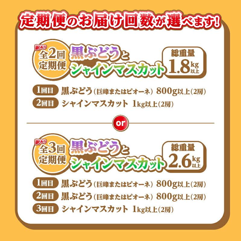【ふるさと納税】 訳あり フルーツ 定期便 選べる 2回 3回 黒ぶどう 800g以上 シャインマスカット 1kg以上 果物 期間限定 2025年発送 8月 9月 発送 冷蔵 クール ぶどう 葡萄 巨峰 ピオーネ くだもの 規格外 不揃い 山梨県 甲州市 産地直送 社員マスカット （AGB）