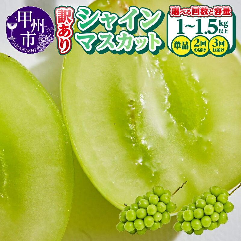 シャインマスカット 訳あり 選べる 容量 1kg 1.5kg 2〜6房 果物 定期便 回数 2回 3回 期間限定 2025年発送 8月 9月 10月 発送 冷蔵 クール便 山梨県 甲州市 くだもの フルーツ 葡萄 ぶどう 産地直送 甘い 果実 新鮮 フードロス 人気 社員マスカット (AGB)