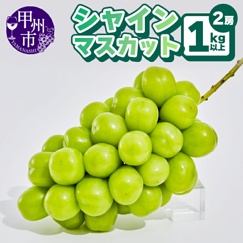 【ふるさと納税】 シャインマスカット 1kg以上 2房 果物 冷蔵 山梨県 農林水産大臣賞受賞 2025年発送 期間限定 8月 9月 10月 発送 クール 甲州市産 大粒 くだもの フルーツ 葡萄 ぶどう 産地直送 甘い 果実 人気 贅沢 新鮮 社員マスカット (AGB) 【B12-445】