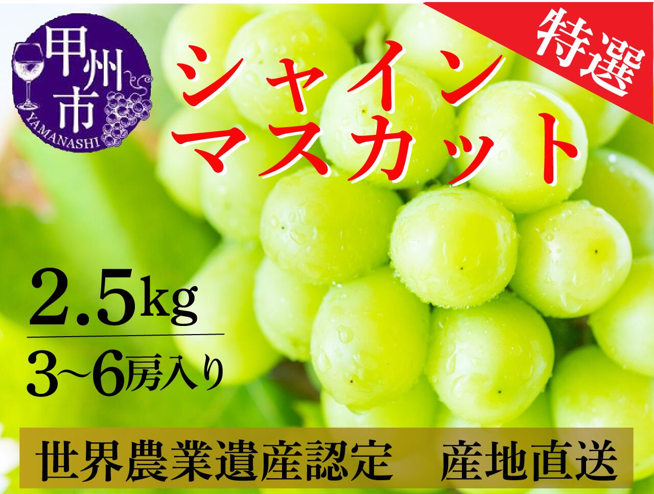 【ふるさと納税】 シャインマスカット 2.5kg 3～6房 山梨県 甲州市産 産地直送 厳選 旬 採れたてフルーツ 果物 ブドウ 甘い デザート 新鮮 人気 2024年発送 （ORJ） 【C5-801】