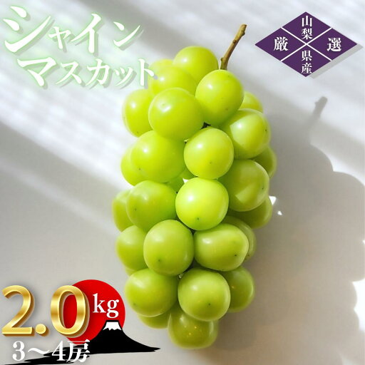 【ふるさと納税】 シャインマスカット 約2kg 3~4房 フルーツ 果物 ブドウ 甲州市産 2025年発送 旬 厳選 採れたて 新鮮 甘い 山梨県 産地直送 期間限定 数量限定 デザート 贈答 ギフト 贈り物 家庭用 8月 9月 10月 発送 (ORJ) 【B17-801】 【ふるさと納税】 シャインマスカット 約2kg 3~4房 フルーツ 果物 ブドウ 甲州市産 2025年発送 旬 厳選 採れたて 新鮮 甘い 山梨県 産地直送 期間限定 数量限定 デザート 贈答 ギフト 贈り物 家庭用 8月 9月 10月 発送 (ORJ) 【B17-801】