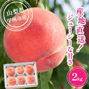 【ふるさと納税】 桃 約2kg 5玉~8玉 果物 もも 甲州市産 果実 旬 朝採れ フルーツ 朝もぎ 光センサー選果 大藤の桃 くだもの ジューシー 新鮮 化粧箱入 贈答 ギフト お中元 冷蔵 山梨 期間限定 数量限定 家庭用 盛り合わせ 7月上旬より発送 (VYD) 【B12-810】