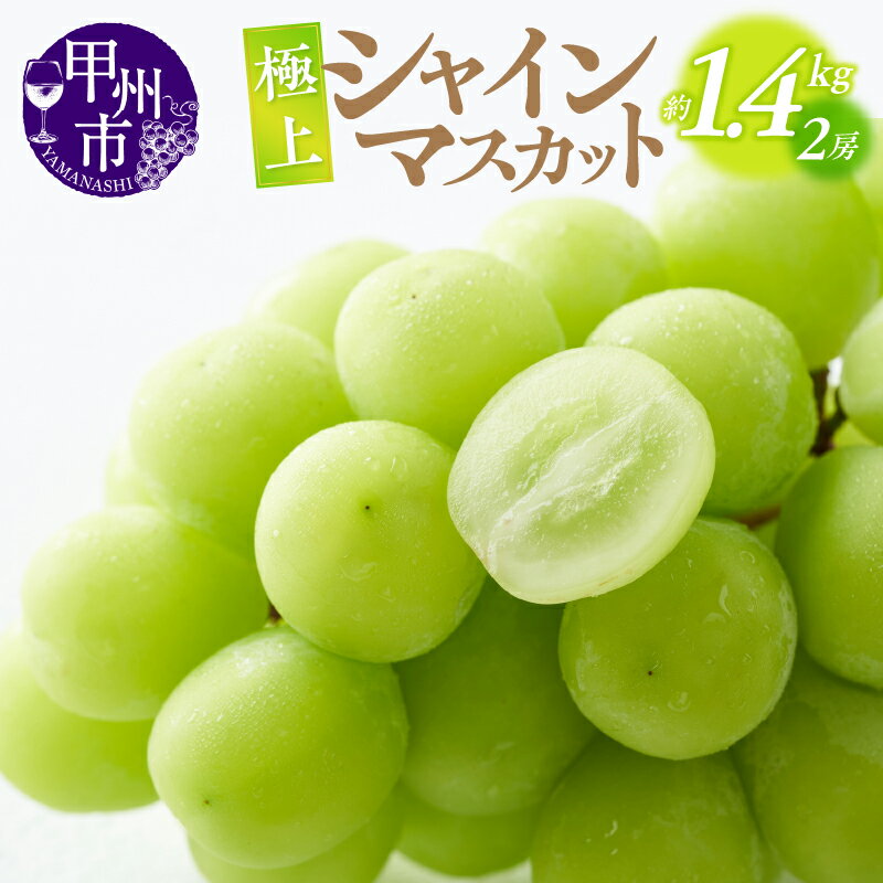 【ふるさと納税】甲州市産 シャインマスカット 約1.4kg 新鮮 極上 果物 くだもの フルーツ ぶどう 葡萄 シャインマスカット 山梨県 美味しい 2房 山梨 やまなし【2023年先行予約】【B15-820】（ATP）のサムネイル