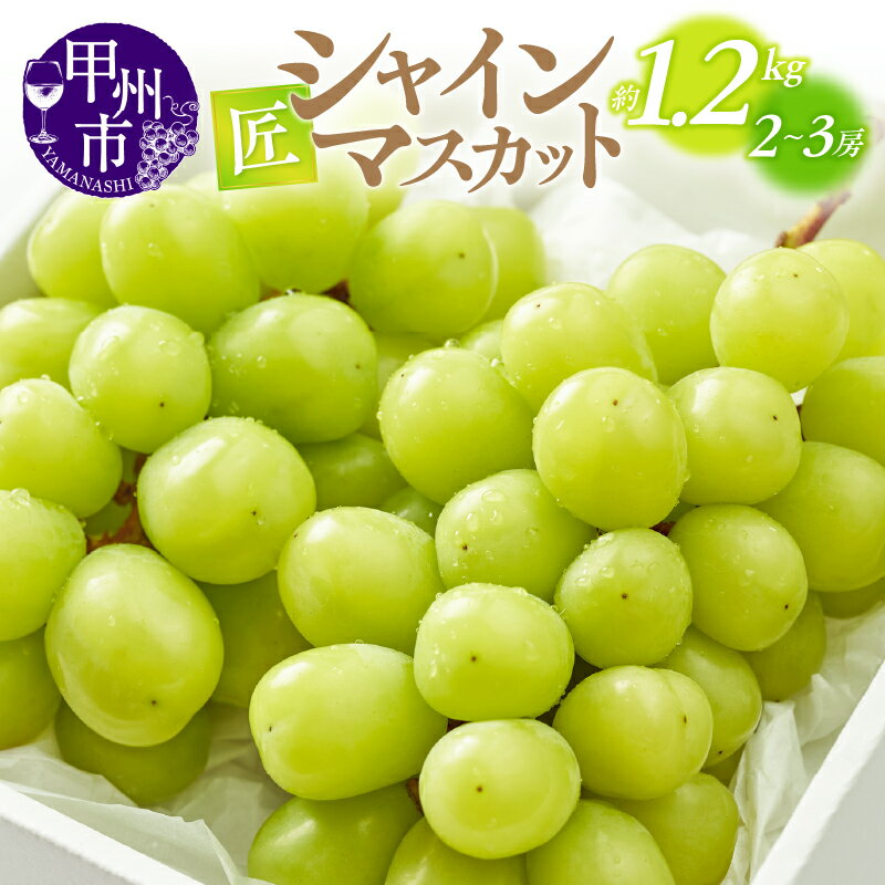 【ふるさと納税】甲州市産 シャインマスカット 約1.2kg 新鮮 匠 果物 くだもの フルーツ ぶどう 葡萄 シャインマスカット 山梨県 美味しい 2房～3房 山梨 やまなし【2023年先行予約】（ATP）【B-815】のサムネイル