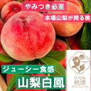 【ふるさと納税】 桃 フルーツ 3玉 約1kg ブランド 山梨白鳳 人気品種指定 2024年発送 山梨 甲州市産 デザート 果実 贅沢 冷蔵 厳選 美味しい 甘い フルーツ王国 贈り物 ギフト （PMK） 【B17-106】