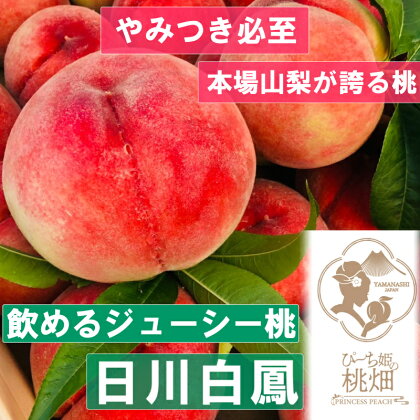 桃 フルーツ 3玉 約1kg ブランド 日川白鳳 人気品種指定 2024年発送 山梨 甲州市産 デザート 果実 贅沢 冷蔵 厳選 美味しい 甘い フルーツ王国 贈り物 ギフト （PMK） 【B17-109】