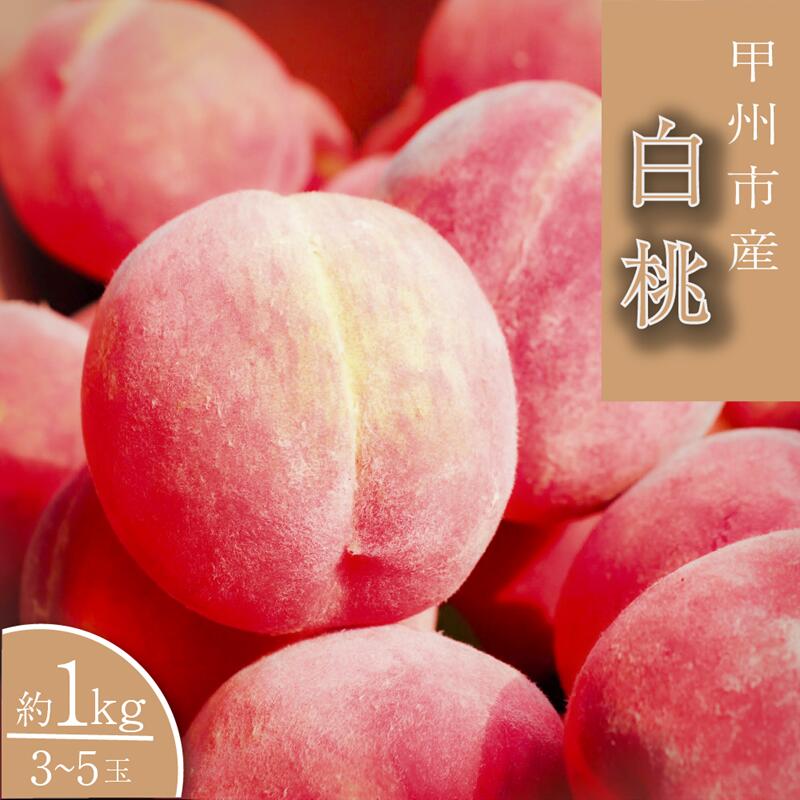 【ふるさと納税】 桃 白桃系 約1kg 3～5玉 産直 完熟