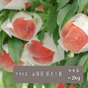 【ふるさと納税】 桃 果物 訳あり 約2kg もも 産直 フルーツ くだもの 甲州市 山梨県 2025年発送 数量限定 期間限定 家庭用 自宅用 6月 7月 8...