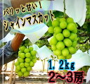 【ふるさと納税】 シャインマスカット 1.2kg 2～3房 甲州市産 2024年発送 果物 フルーツ ぶどう 種なし 果実 大粒 産地直送 山梨県 甲州市 （ISI） 【B14-155】