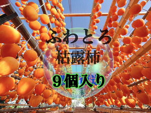 【ふるさと納税】 枯露柿 9個 柿 干し柿 甲州百目柿 新食感 生産者直送 手作業 化粧箱入り 2025年発送 数量限定 期間限定 果物 フルーツ ギフト 贈答 山梨県 甲州市 (ISI) 【B-809】