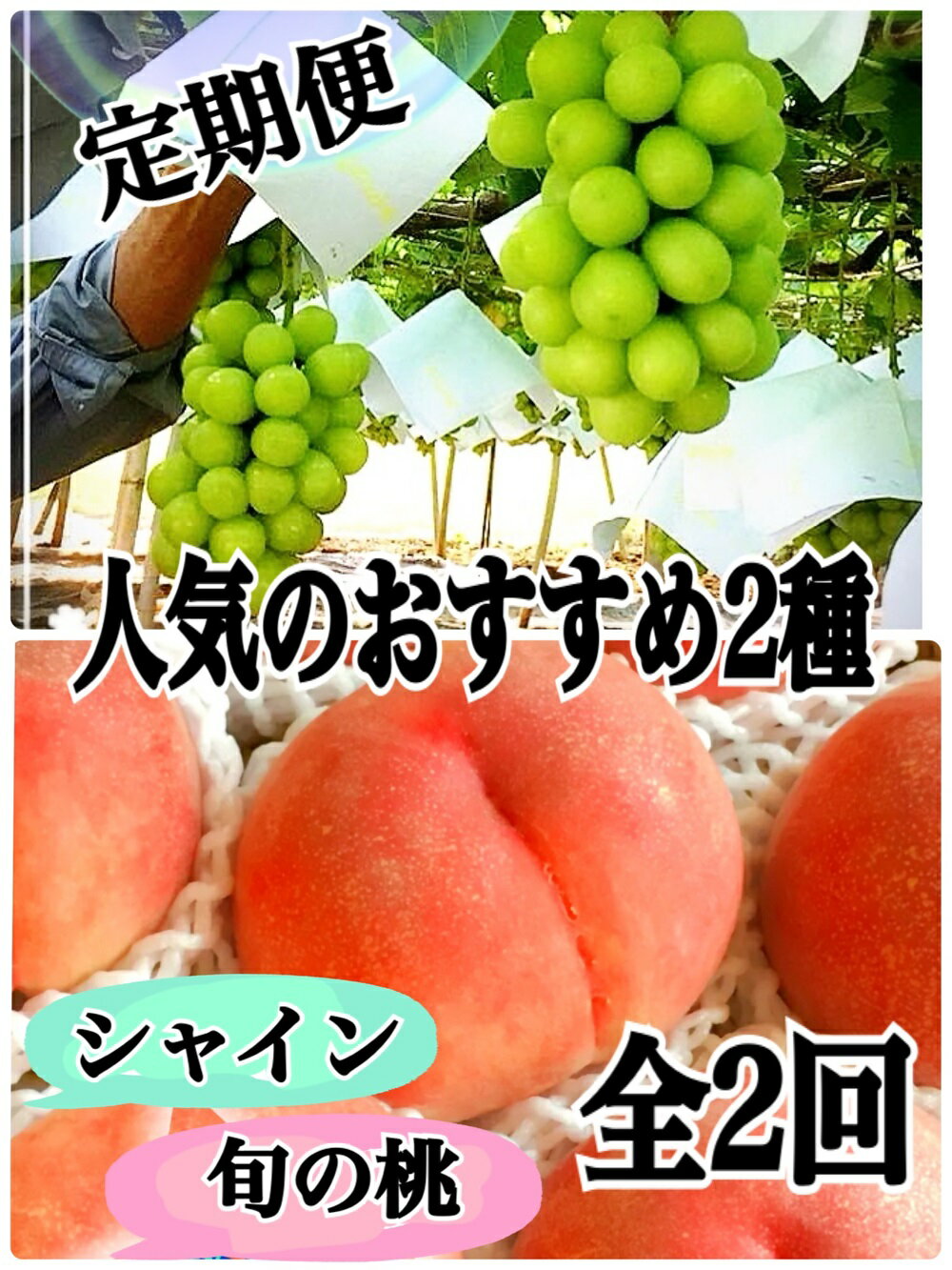 【ふるさと納税】 定期便 2回 桃 シャインマスカット もも ぶどう 甲州市産 果物 フルーツ 2種 人気 数量限定 期間限定 2024年発送 山梨県産 数量限定 贈答 ギフト 家庭用 社員マスカット 白鳳系 白桃系 （ISI） 【C9-800】