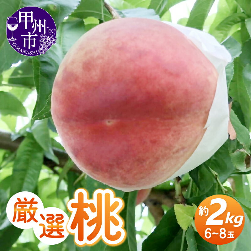 【ふるさと納税】 桃 6～8玉 約2kg 甲州市産 2024