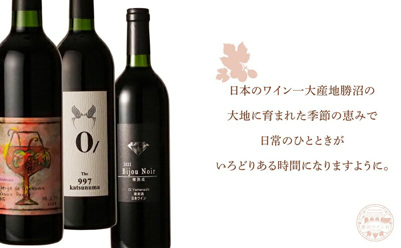 【ふるさと納税】 ワイン 赤ワイン セット 勝沼ワイン村 セレクト 飲み比べ 3種 3本 赤 こだわり ワイナリー 勝沼産 山梨県産 おすすめ おまかせ 母の日 父の日 記念日 ギフト 贈答 プレゼント 山梨県 甲州市 （KWV） 【D4-620】
