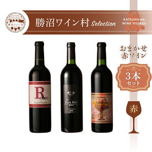 【ふるさと納税】 ワイン 赤ワイン セット 勝沼ワイン村 セレクト 飲み比べ 3種 3本 赤 こだわり ワイナリー 勝沼産 山梨県産 おすすめ おまかせ 母の日 父の日 記念日 ギフト 贈答 プレゼント 山梨県 甲州市 (KWV) 【D4-620】