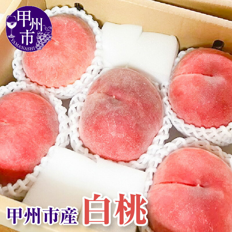 【ふるさと納税】 白桃 約2kg 5~7玉 モモ 桃 もも 冷蔵 クール便 期間限定 7月 8月 発送 果物 くだもの フルーツ 数量限定 山梨 2025年発送 旬 クール 果実 贈答 ギフト 山梨県 甲州市 (KFT) 【B11-1811】