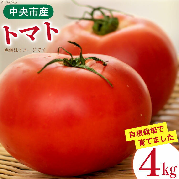 トマト 中央市産トマト 4kg 18-24個 [とまと舎たかの 山梨県 中央市 21470758] 野菜 やさい とまと 甘い リコピン [2025年11月上旬〜2026年3月下旬発送予定]