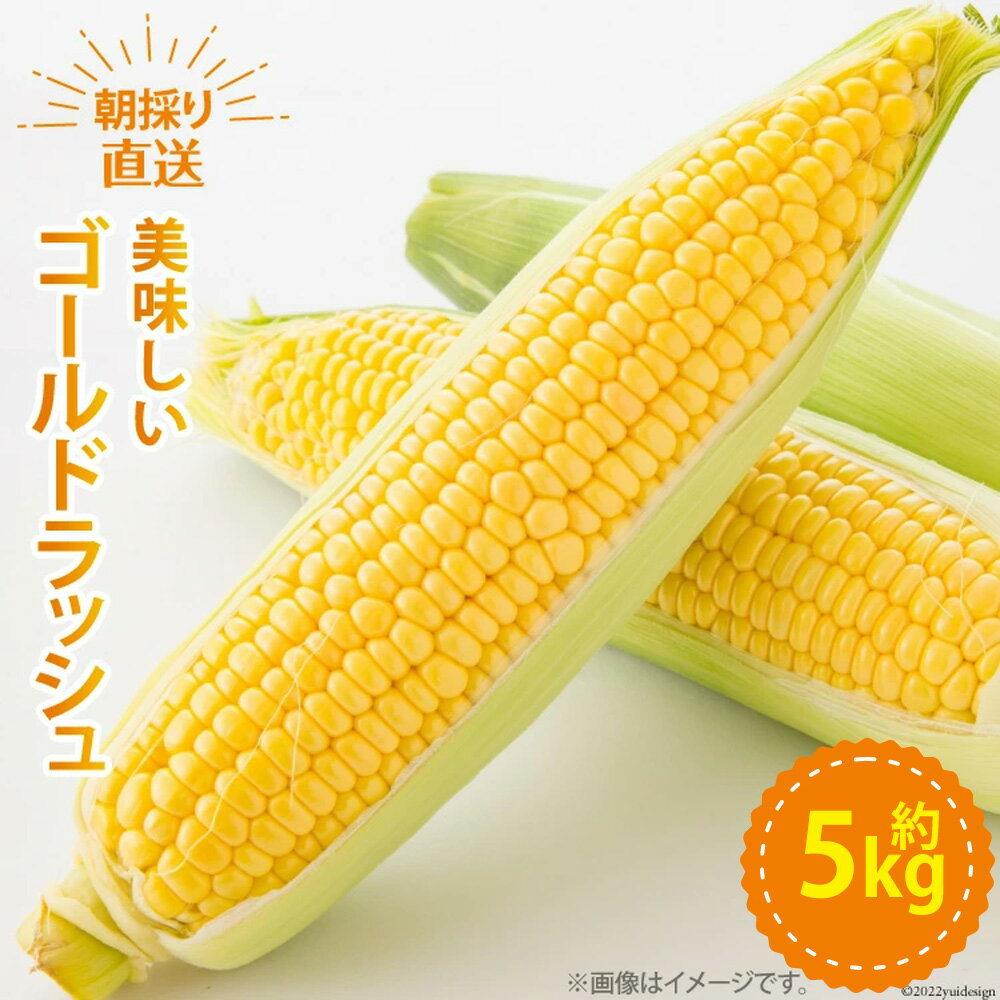 【ふるさと納税】【期間限定発送】 野菜 ゴールドラッシュ 約5kg [ラハマン農園 山梨県 中央市 21470839] トウモロコシ とうもろこし やさい 期間限定 季節限定 数量限定 産地直送 【2025年6月上旬〜6月下旬発送予定】