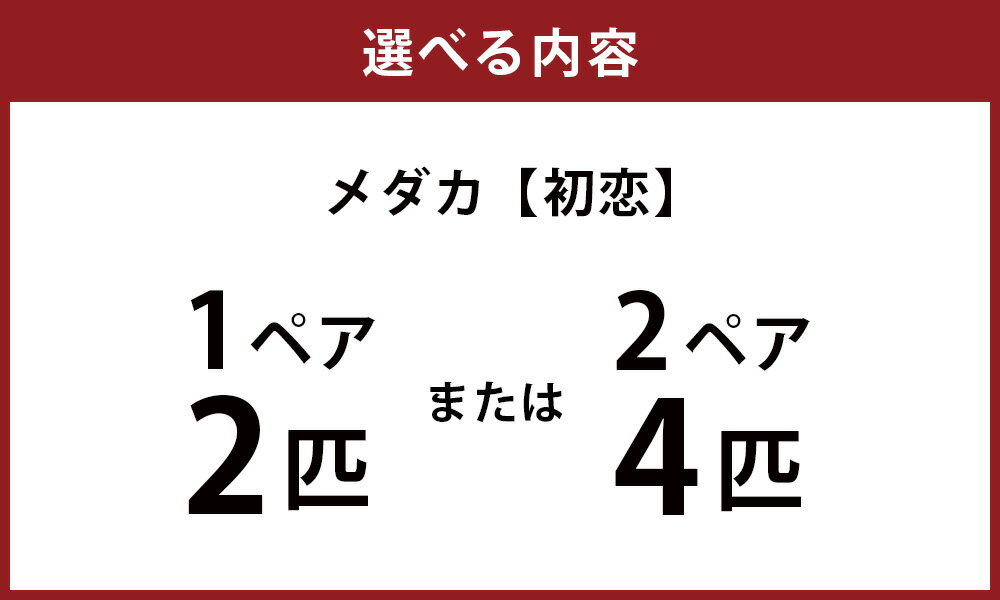thum3