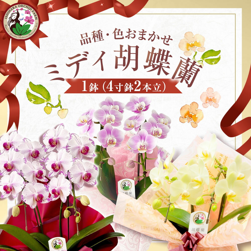 山梨県中央市の画像2