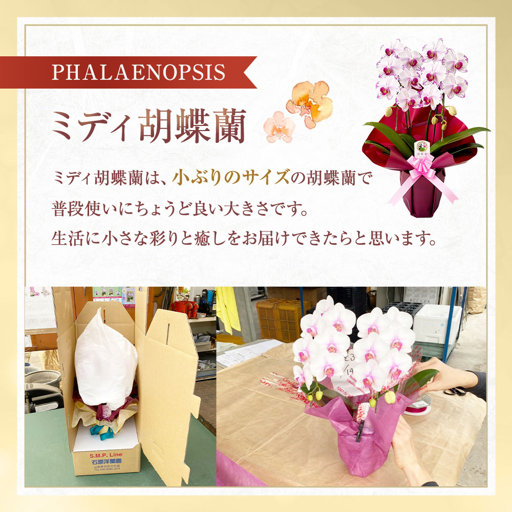 山梨県中央市の画像3