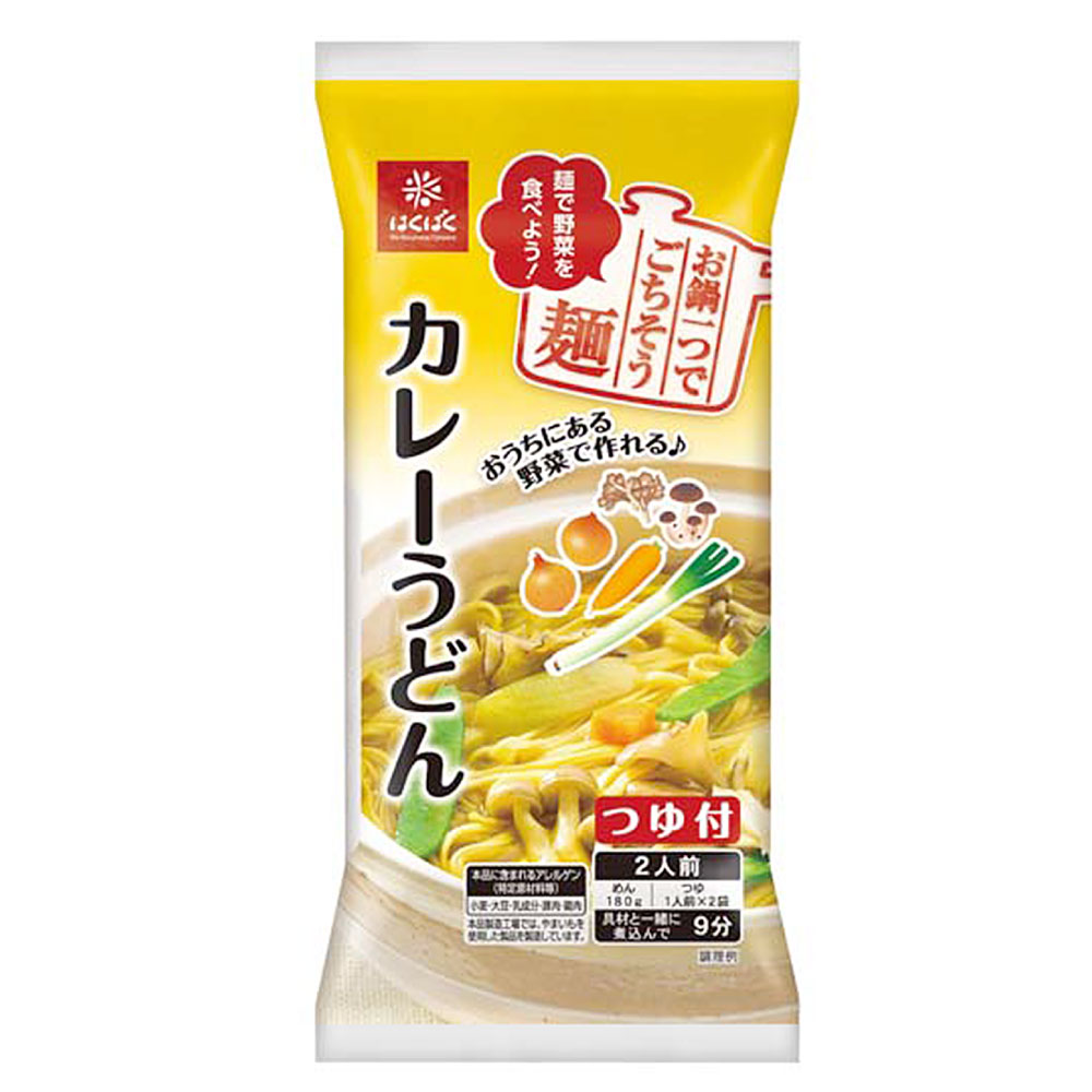 カレーうどん 計2.6kg(260g(麺:180g・つゆ:計80g(40g×2袋))×10袋) うどん 麵類 乾麵 簡単調理 惣菜 国産 山梨県 中央市 送料無料