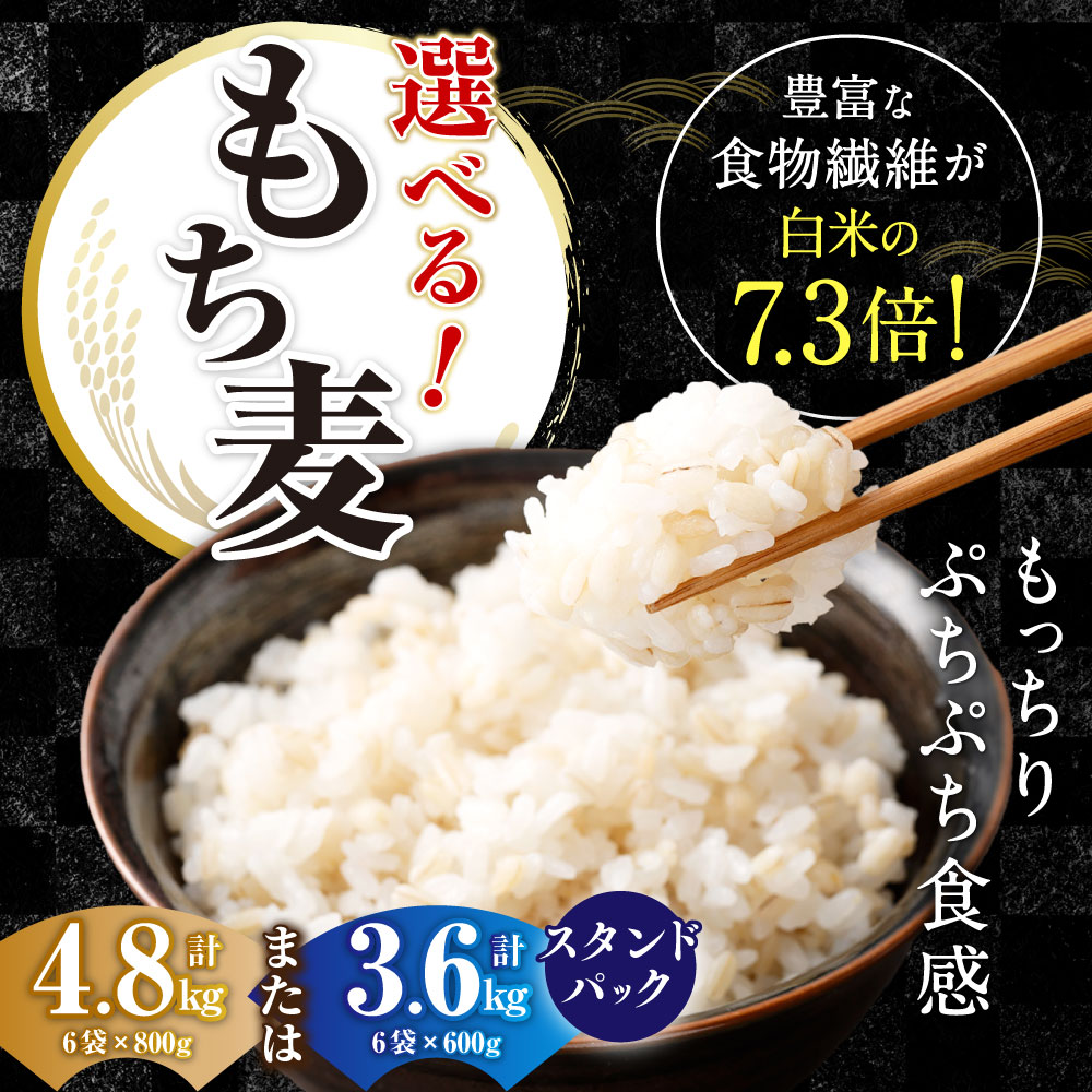 【ふるさと納税】【はくばく】【選べる容量】 もち麦 スタンドパック 【 600g （50...