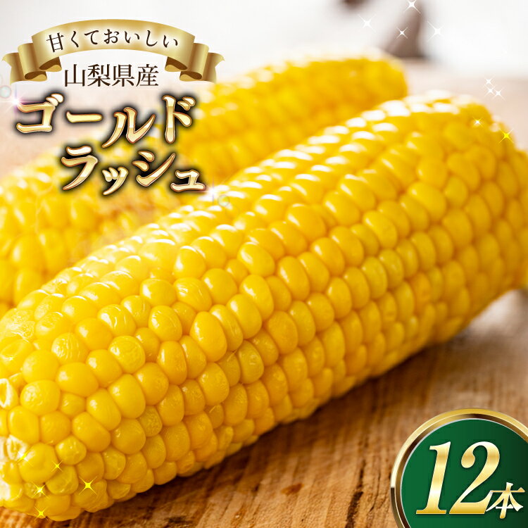 とうもろこしゴールドラッシュ 12本入り [さとう農園 山梨県 中央市 21471039] トウモロコシ スイートコーン 甘い コーン 野菜 [2026年6月下旬〜7月下旬発送予定]