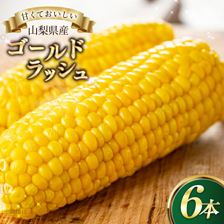 とうもろこし ゴールドラッシュ 6本 [さとう農園 山梨県 中央市 21471040] トウモロコシ スイートコーン 甘い コーン 野菜[2026年6月下旬〜7月下旬発送予定]