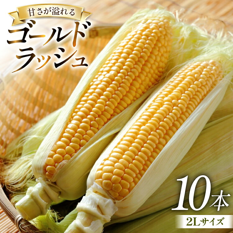 【期間限定発送】 とうもろこし ゴールドラッシュ 10本入り 2Lサイズ 山梨県中央市産 [アクロプラス 山梨県 中央市 21471052] トウモロコシ スイートコーン 甘い コーン 野菜 【2025年6月上旬～6月下旬発送予定】
