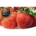 【ふるさと納税】【先行受付】いちご詰合せ24個入り【10年以