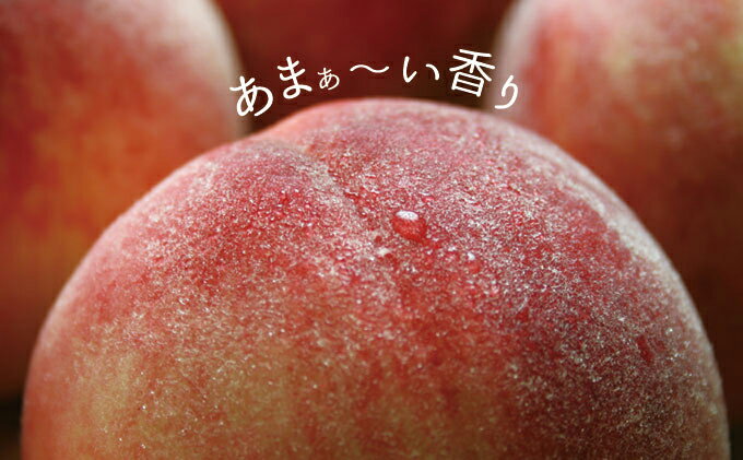 【ふるさと納税】山梨の桃 約1.8kg 5～7玉 旬の品種 [築宝 山梨県 中央市 21470736] 期間限定 桃 もも モモ ピーチ 果物 フルーツ 冷蔵 【2026年6月下旬-8月上旬発送予定】