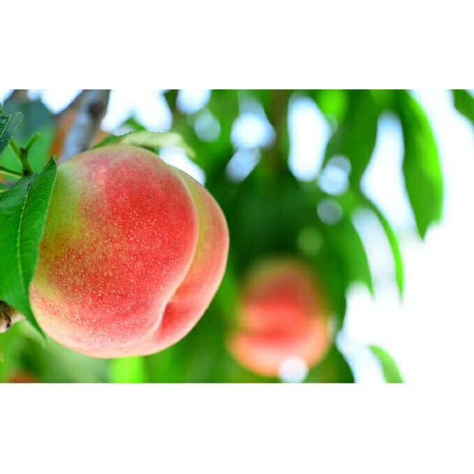 山梨県中央市の画像2