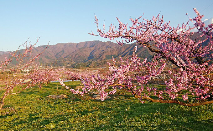 山梨県中央市の画像3