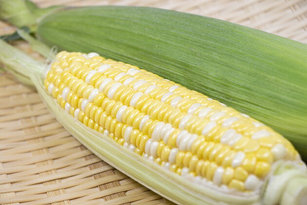 山梨県中央市の画像2