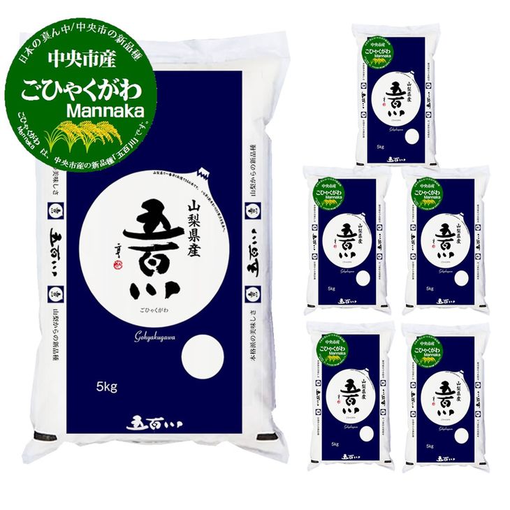 【ふるさと納税】【定期便】平成30年度産　五百川米30kg定期コース【5kg×6ヵ月コース】※2019年1月〜6月に発送(毎月一度計6回)