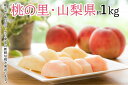 【ふるさと納税】【限定1000箱 先行予約】日本一の桃の里・...