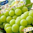 7位! 口コミ数「1件」評価「5」新鮮！甘い！山梨県産 シャインマスカット 2房～3房「道の駅とよとみ」より厳選したものを出荷！[山梨県 中央市 21470228] ぶどう ･･･ 