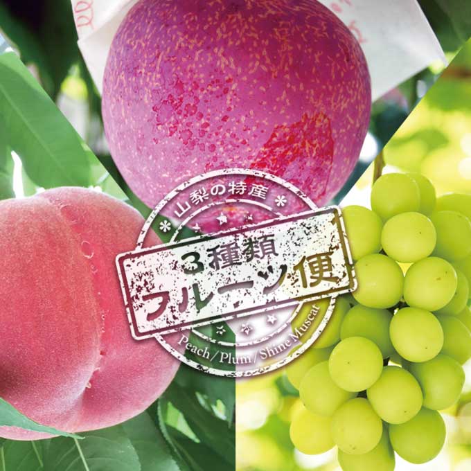 13位! 口コミ数「0件」評価「0」山梨の特産 3種 フルーツ 定期便 桃 約1.8kg 貴陽 約1.5kg シャインマスカット 約1.8kg [築宝 山梨県 中央市 2147･･･ 