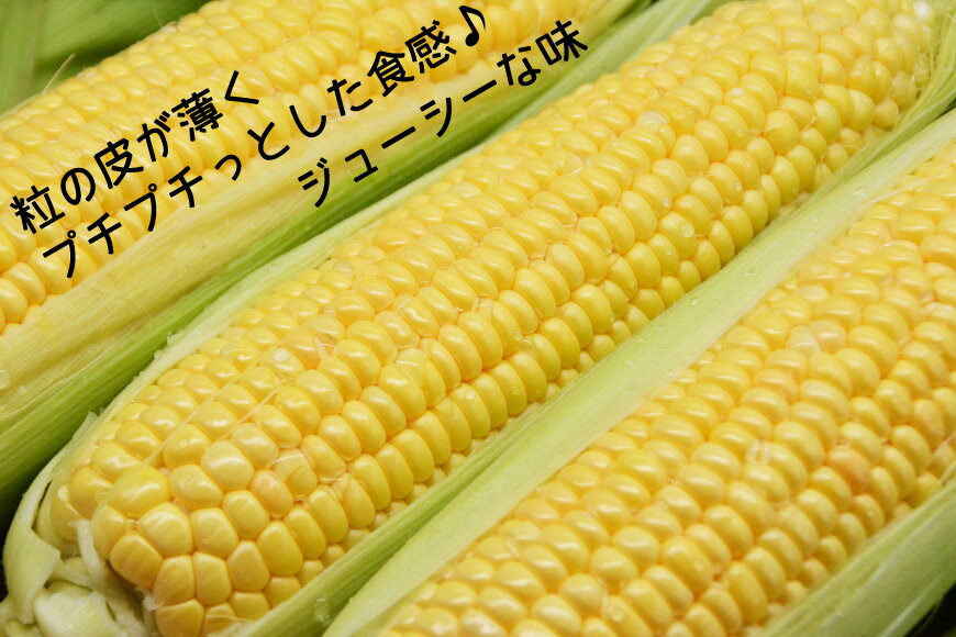 山梨県中央市の画像3